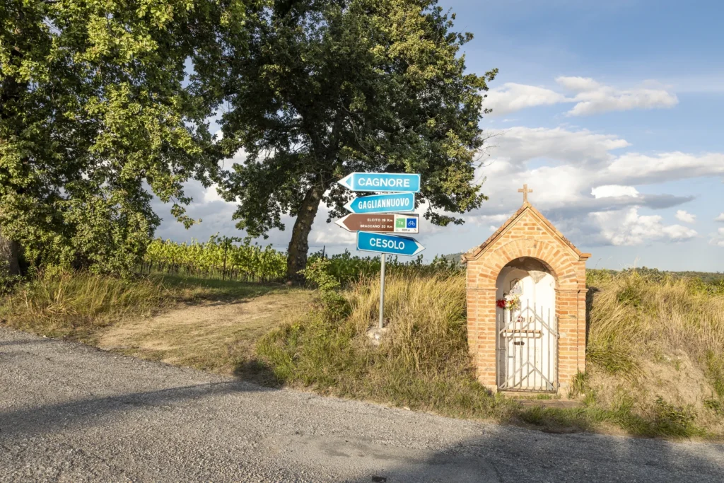 The Cagnores