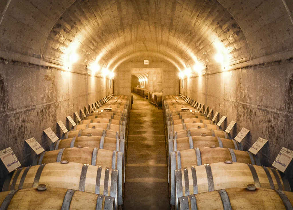 Vini Di Cagnore Barricaia
